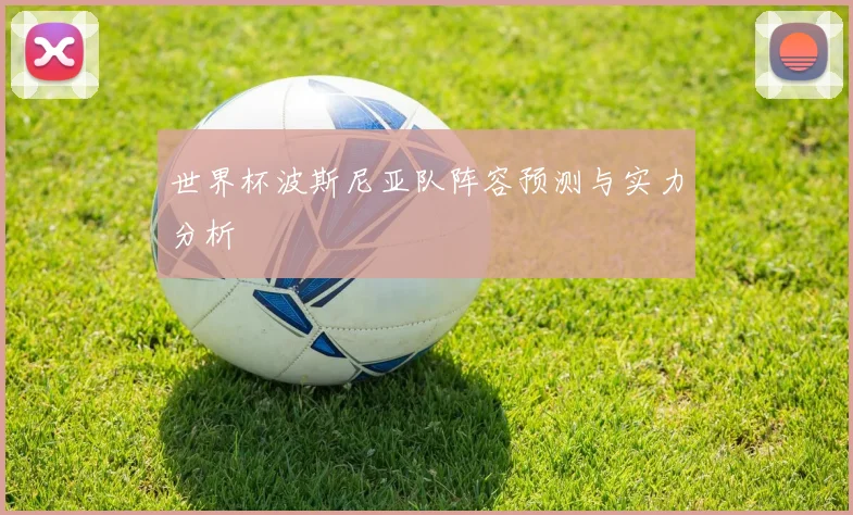 世界杯波斯尼亚队阵容预测与实力分析